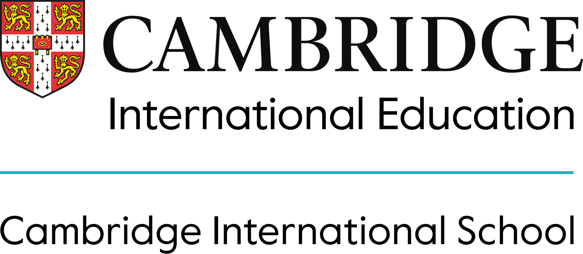 Cambridge International School